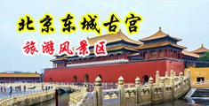 亚洲图片欧洲图片有声小说中国北京-东城古宫旅游风景区
